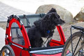 De perfecte combinatie: de hondenfietskar voor jouw elektrische fiets!