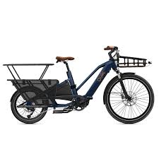 Ontdek de Voordelen van een Cargo Fiets voor Efficiënt Vervoer en Gemak