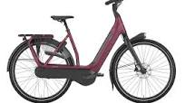 Tips voor het kopen van een damesfiets
