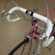 Ontdek de Tijdloze Elegantie van Vintage Fietsen bij SNS Bikes
