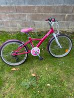 De Fiets: Een Trouwe Metgezel Doorheen 5 Jaar