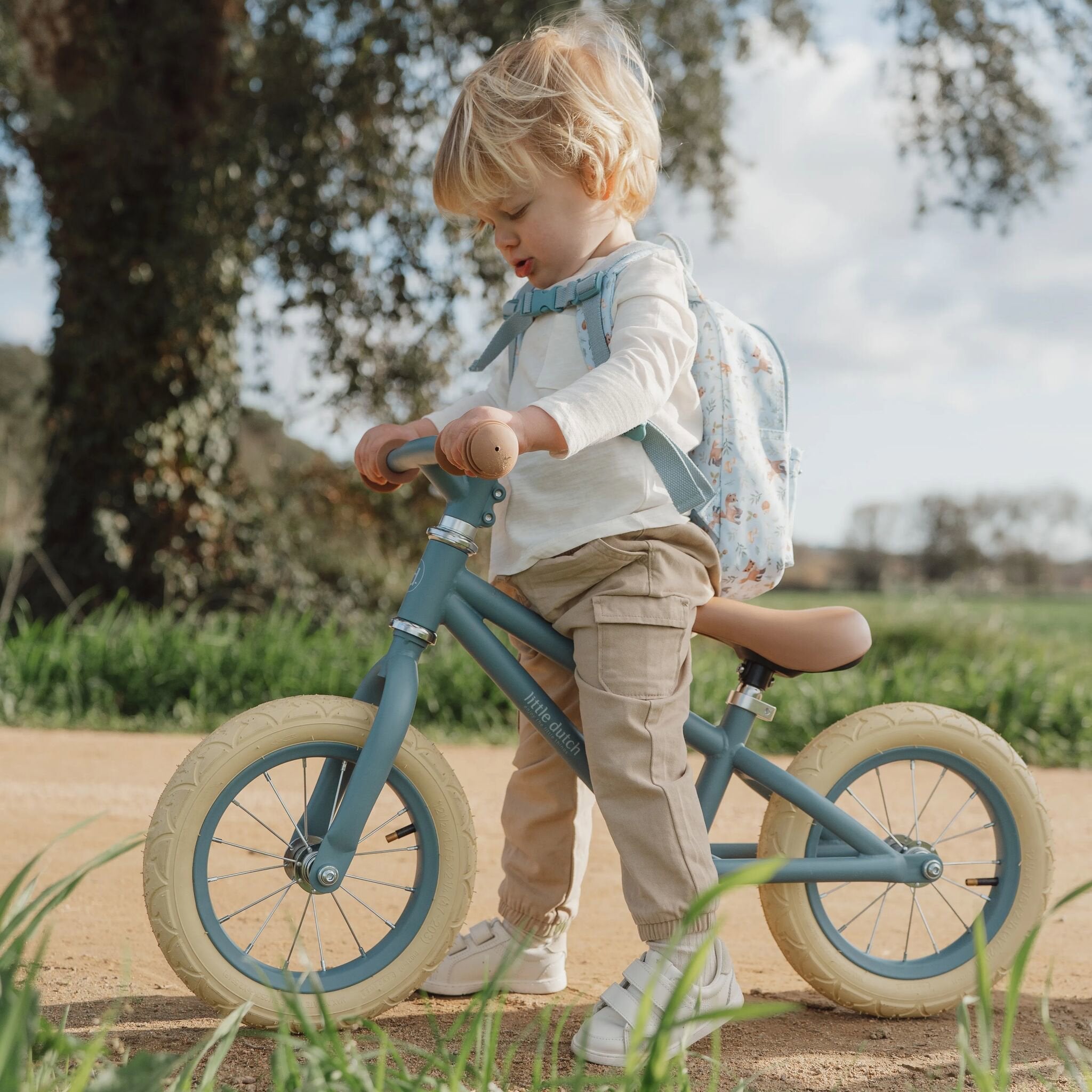 Ontdek de Betovering van de Little Dutch Fietsen