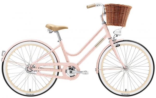 De trouwe metgezel: jouw fiets na 7 jaar avonturen