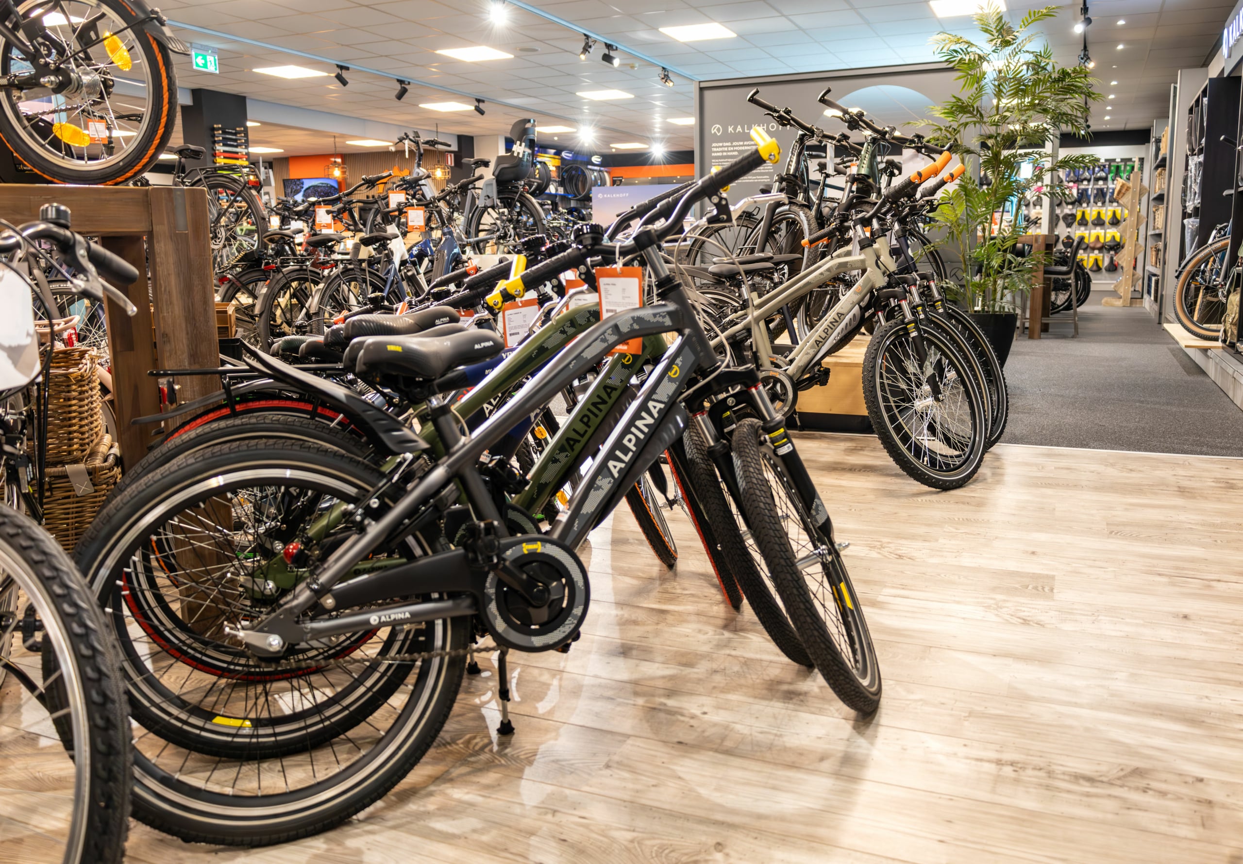 Ontdek de Kwaliteit en Stijl van Alpina Fietsen