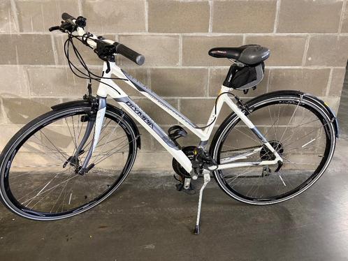 Ontdek de Ideale Sportfiets voor Dames: Comfort, Stijl en Prestaties!