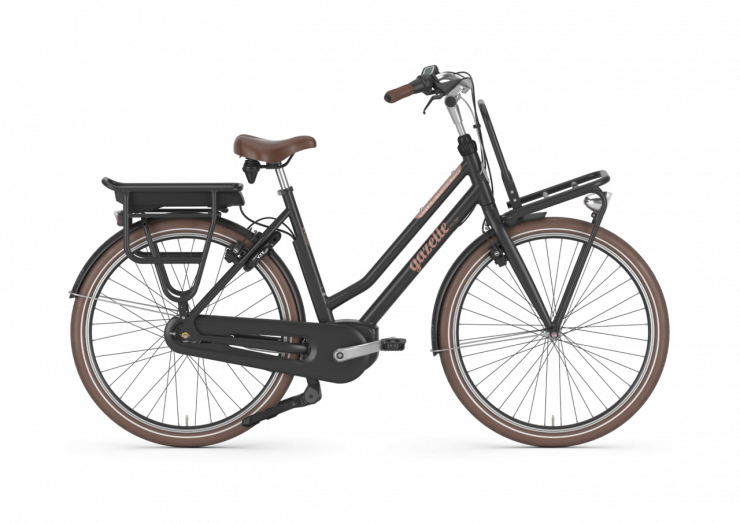 Stijlvolle Retro Fietsen voor Dames: Tijdloze Elegantie op Twee Wielen