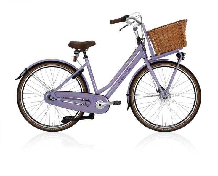 Gazelle transportfiets: praktisch en stijlvol onderweg
