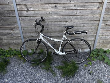 lichtgewicht damesfiets